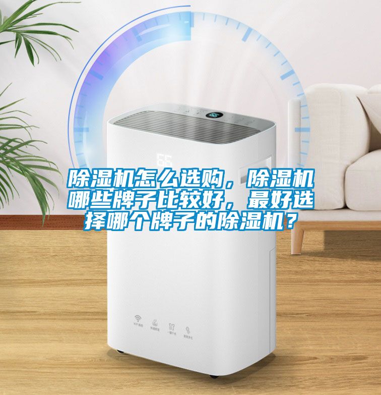 除濕機怎么選購，除濕機哪些牌子比較好，最好選擇哪個牌子的除濕機？