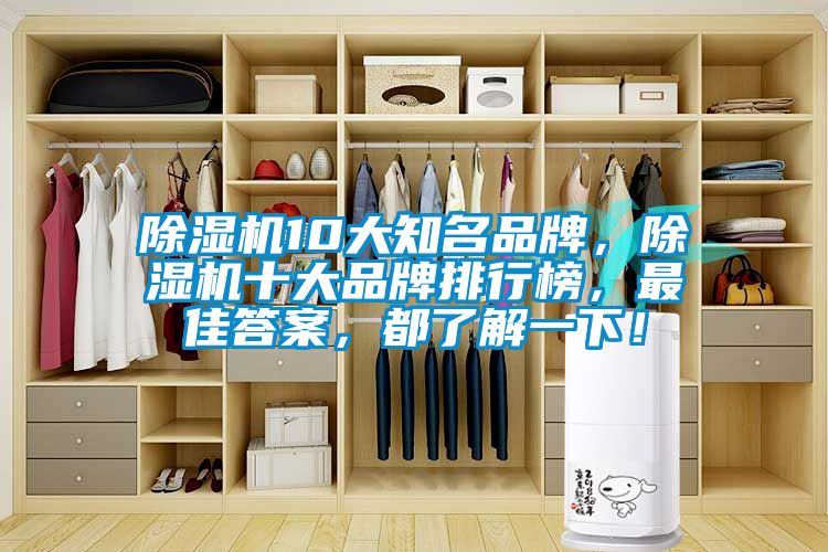 除濕機10大知名品牌，除濕機十大品牌排行榜，最佳答案，都了解一下！