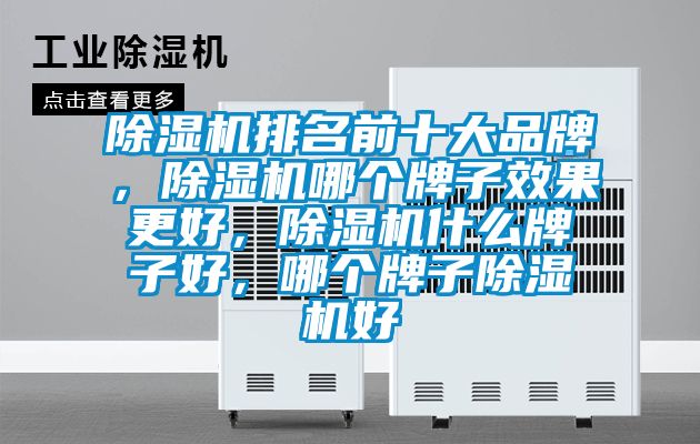 除濕機排名前十大品牌，除濕機哪個牌子效果更好，除濕機什么牌子好，哪個牌子除濕機好