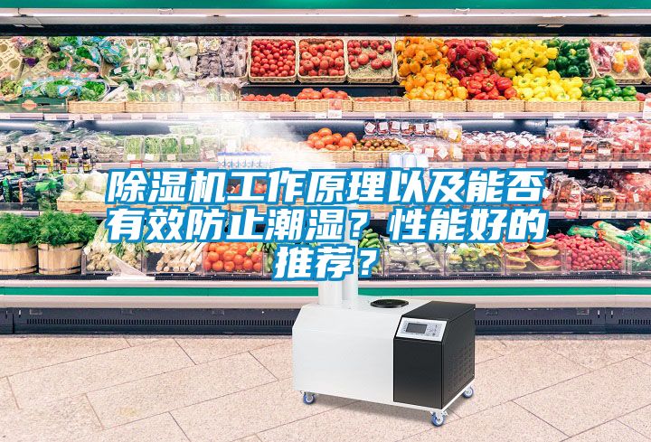 除濕機工作原理以及能否有效防止潮濕？性能好的推薦？