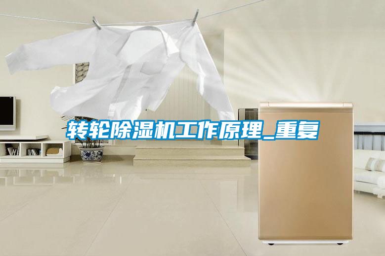 轉輪除濕機工作原理_重復