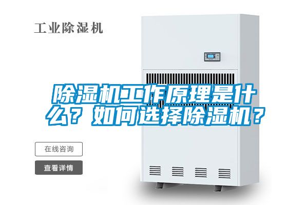 除濕機工作原理是什么？如何選擇除濕機？