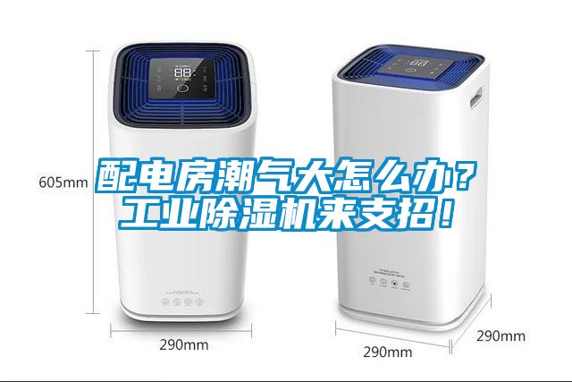 配電房潮氣大怎么辦？工業除濕機來支招！