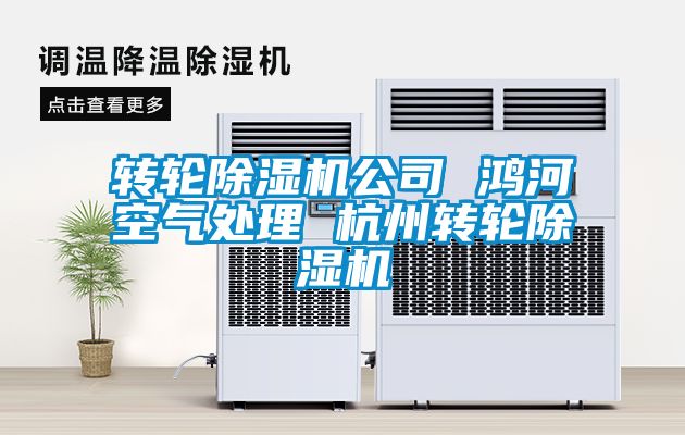 轉輪除濕機公司 鴻河空氣處理 杭州轉輪除濕機