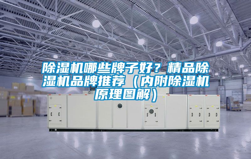 除濕機哪些牌子好？精品除濕機品牌推薦（內附除濕機原理圖解）