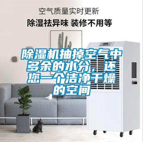 除濕機抽掉空氣中多余的水分，還您一個潔凈干燥的空間
