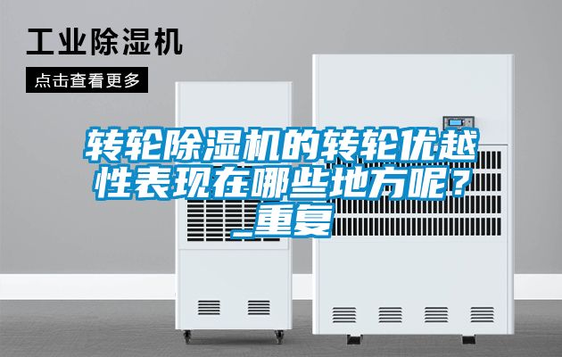 轉輪除濕機的轉輪優越性表現在哪些地方呢？_重復