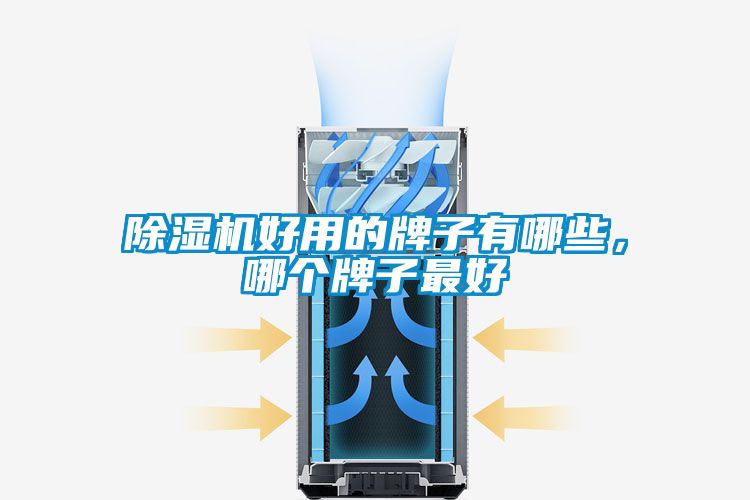 除濕機好用的牌子有哪些，哪個牌子最好
