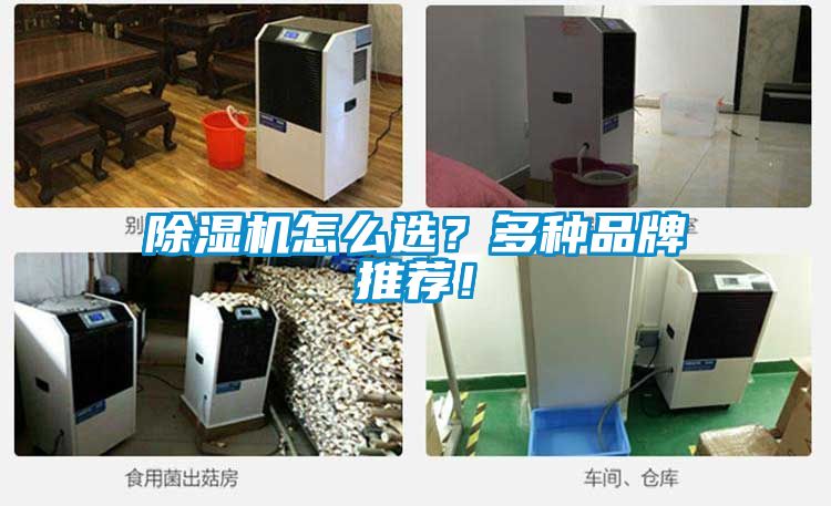 除濕機怎么選？多種品牌推薦！