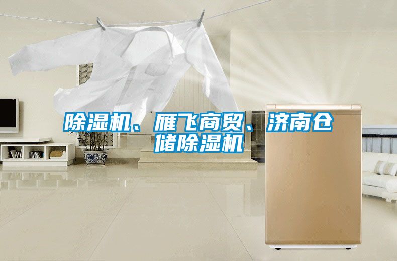 除濕機、雁飛商貿、濟南倉儲除濕機