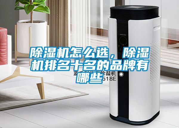 除濕機怎么選，除濕機排名十名的品牌有哪些