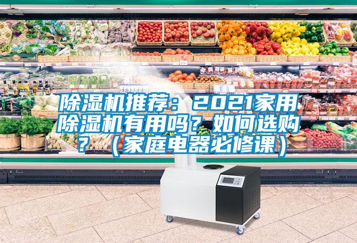 除濕機推薦：2021家用除濕機有用嗎？如何選購？（家庭電器必修課）