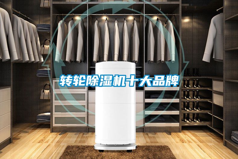 轉輪除濕機十大品牌