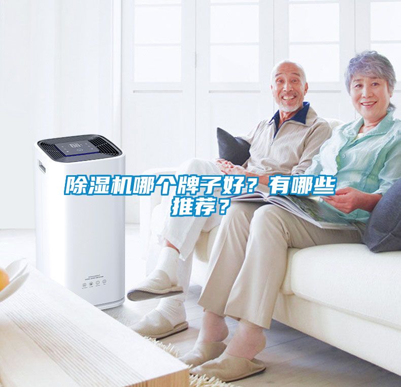 除濕機哪個牌子好？有哪些推薦？