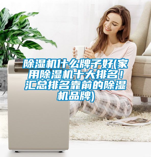 除濕機什么牌子好(家用除濕機十大排名！匯總排名靠前的除濕機品牌)