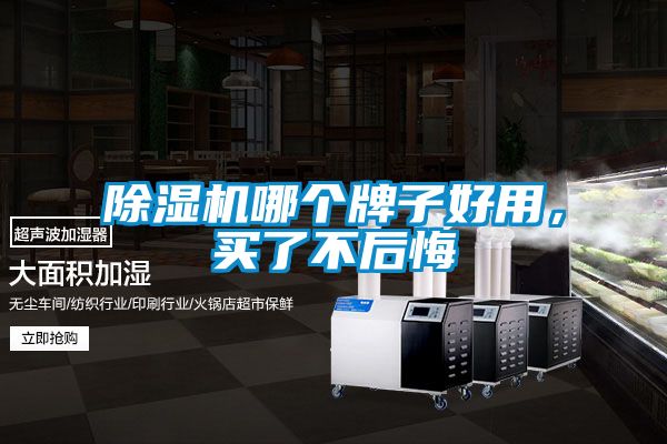 除濕機哪個牌子好用，買了不后悔