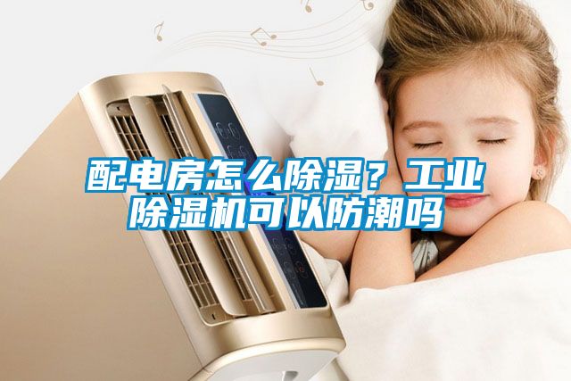 配電房怎么除濕？工業除濕機可以防潮嗎