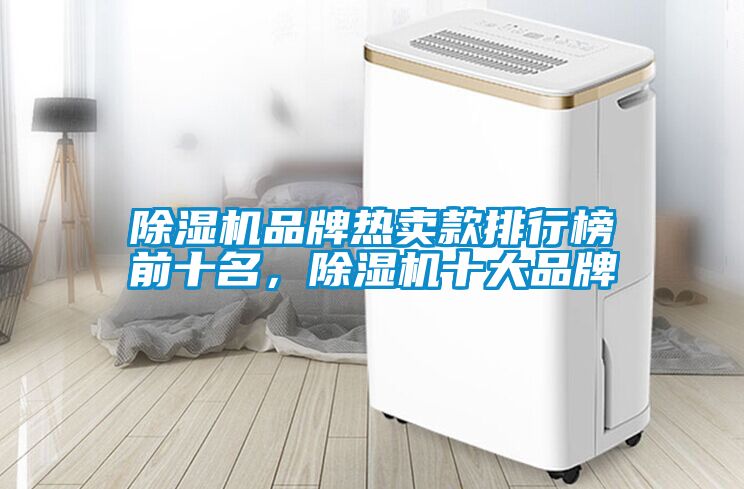 除濕機品牌熱賣款排行榜前十名，除濕機十大品牌