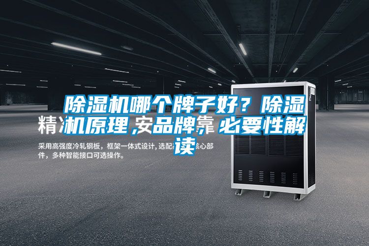 除濕機哪個牌子好？除濕機原理，品牌，必要性解讀