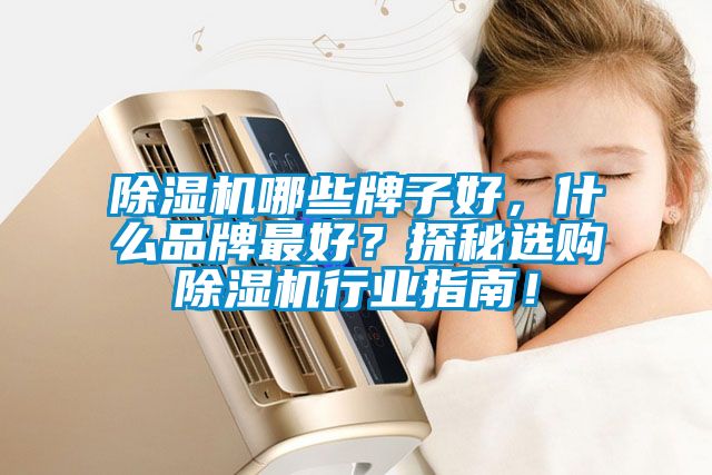 除濕機哪些牌子好，什么品牌最好？探秘選購除濕機行業指南！