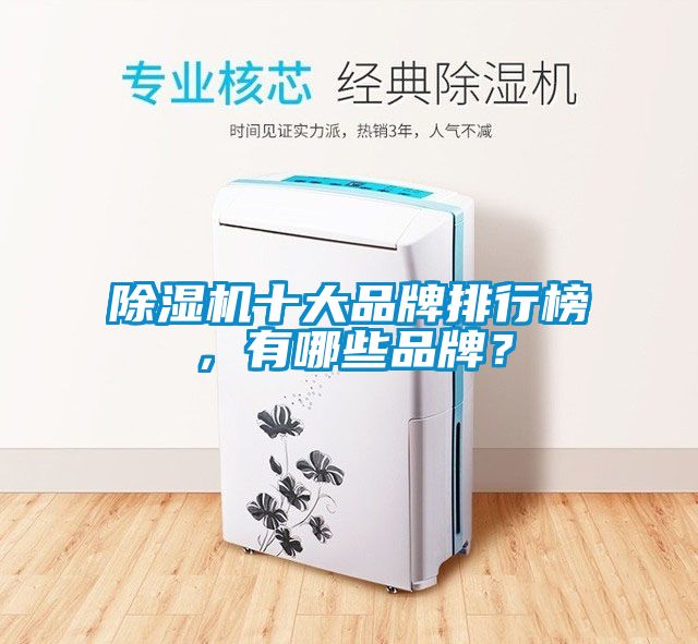 除濕機十大品牌排行榜，有哪些品牌？