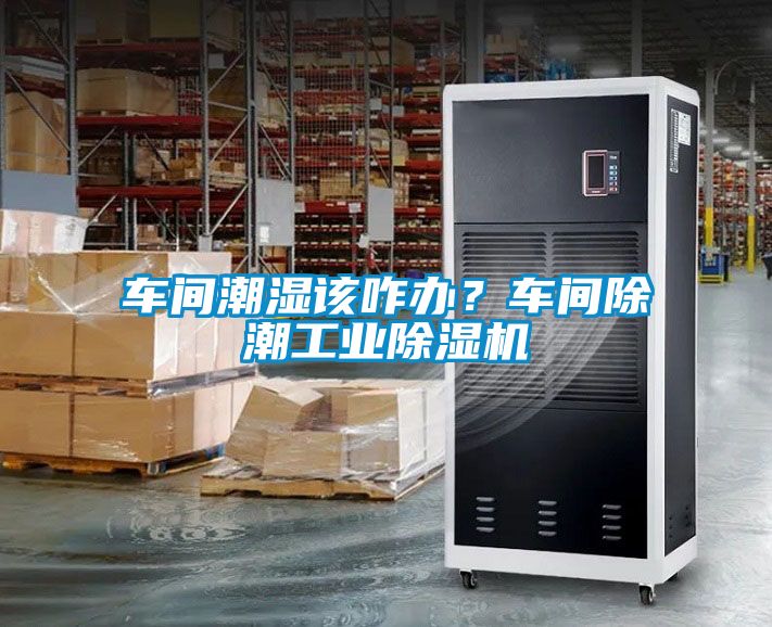 車間潮濕該咋辦？車間除潮工業除濕機