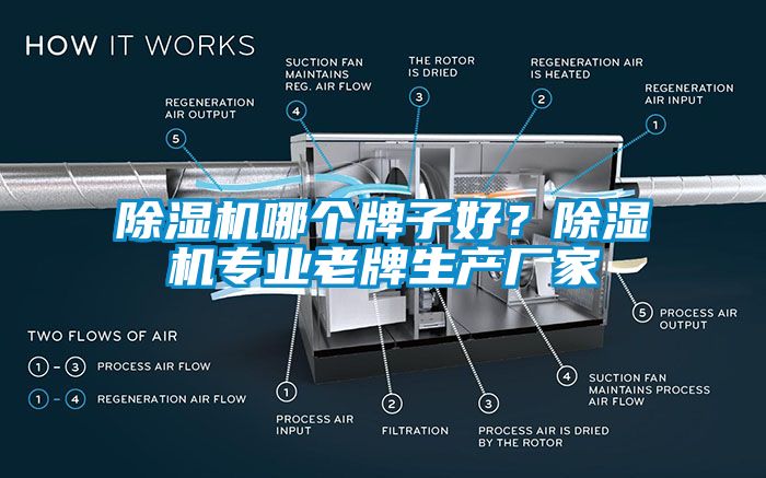 除濕機哪個牌子好？除濕機專業老牌生產廠家