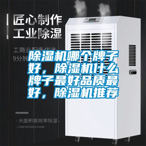 除濕機哪個牌子好，除濕機什么牌子最好品質最好，除濕機推薦