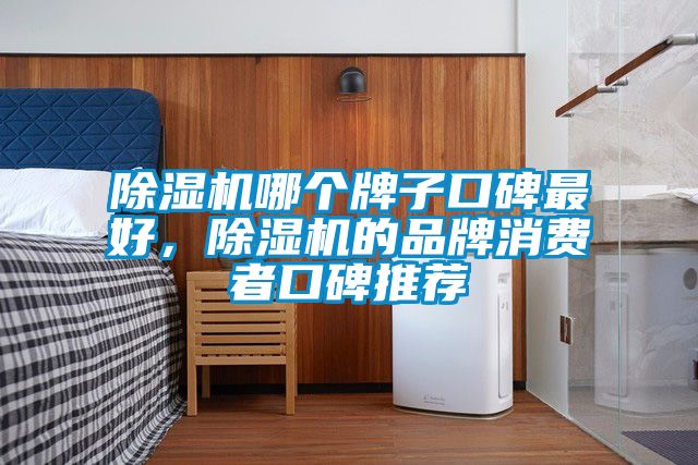 除濕機哪個牌子口碑最好，除濕機的品牌消費者口碑推薦