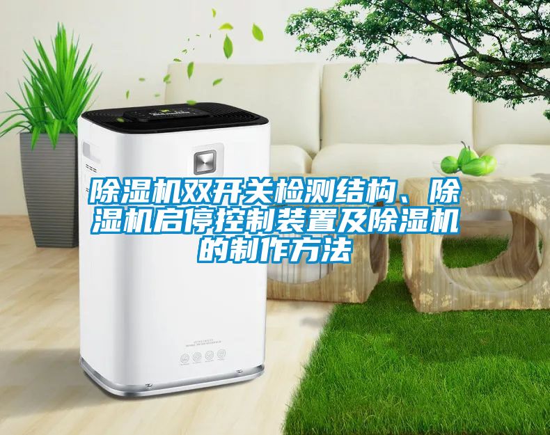 除濕機雙開關檢測結構、除濕機啟?？刂蒲b置及除濕機的制作方法