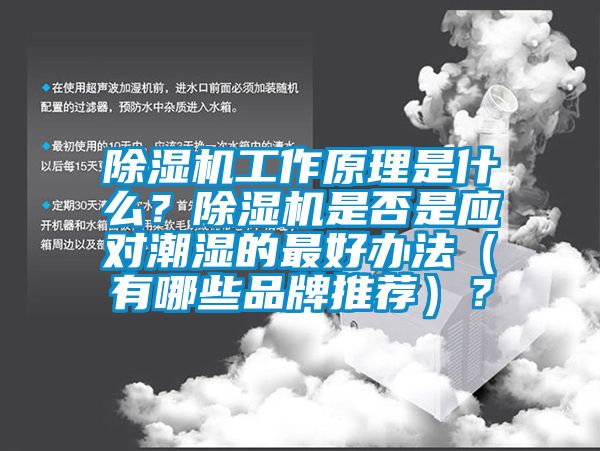除濕機工作原理是什么？除濕機是否是應對潮濕的最好辦法（有哪些品牌推薦）？