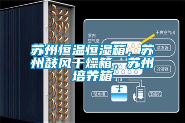 蘇州恒溫恒濕箱，蘇州鼓風干燥箱，蘇州培養箱
