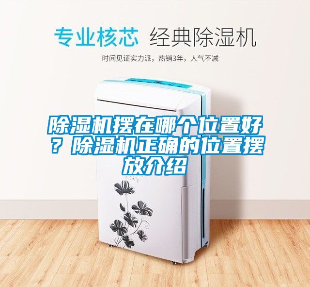 除濕機擺在哪個位置好？除濕機正確的位置擺放介紹