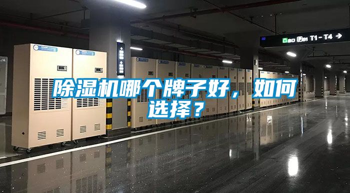 除濕機哪個牌子好，如何選擇？