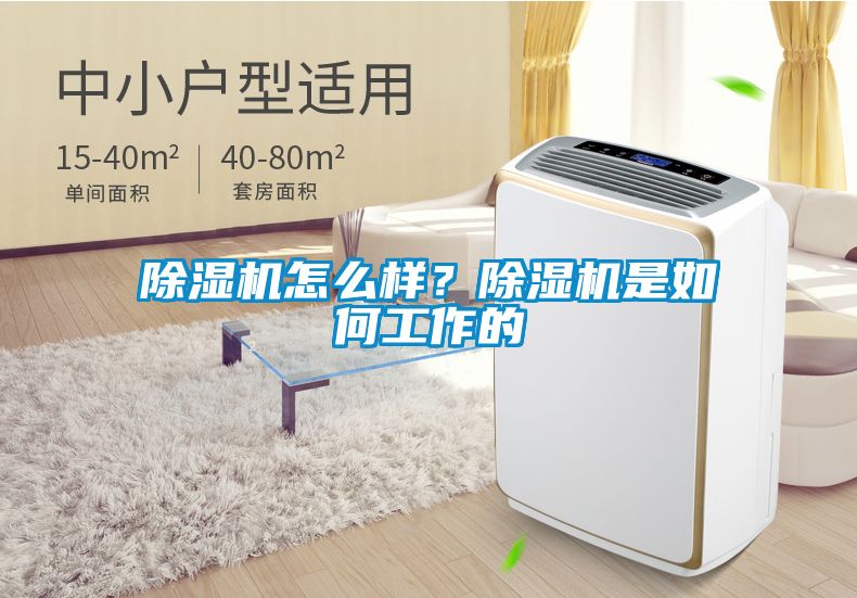 除濕機怎么樣？除濕機是如何工作的