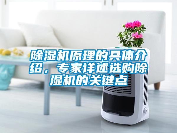 除濕機原理的具體介紹，專家詳述選購除濕機的關鍵點