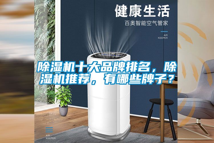 除濕機十大品牌排名，除濕機推薦，有哪些牌子？