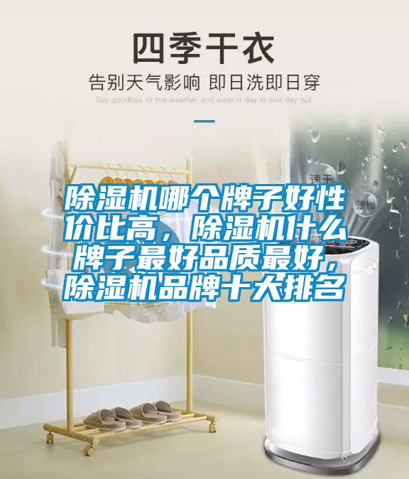 除濕機哪個牌子好性價比高，除濕機什么牌子最好品質最好，除濕機品牌十大排名
