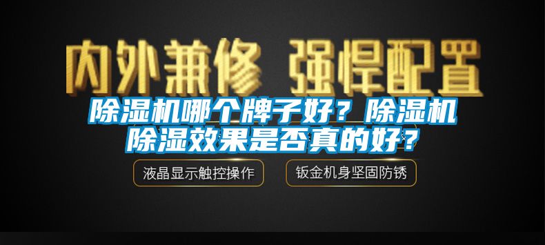 除濕機哪個牌子好？除濕機除濕效果是否真的好？