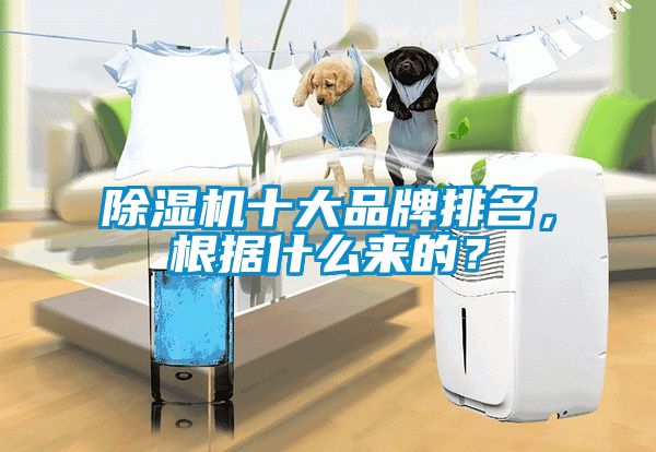 除濕機十大品牌排名，根據什么來的？