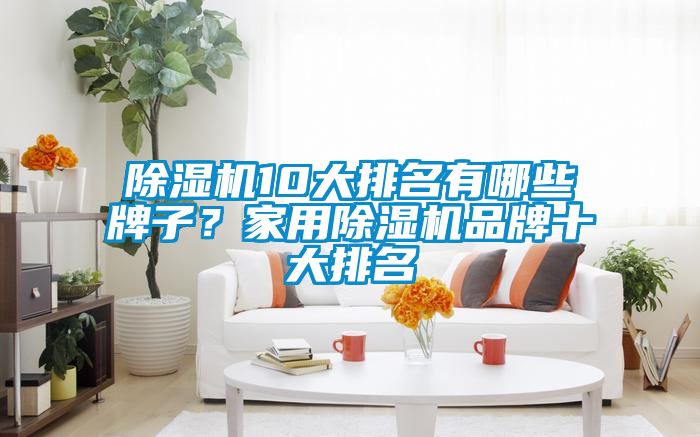 除濕機10大排名有哪些牌子？家用除濕機品牌十大排名
