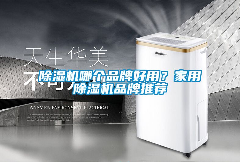 除濕機哪個品牌好用？家用除濕機品牌推薦