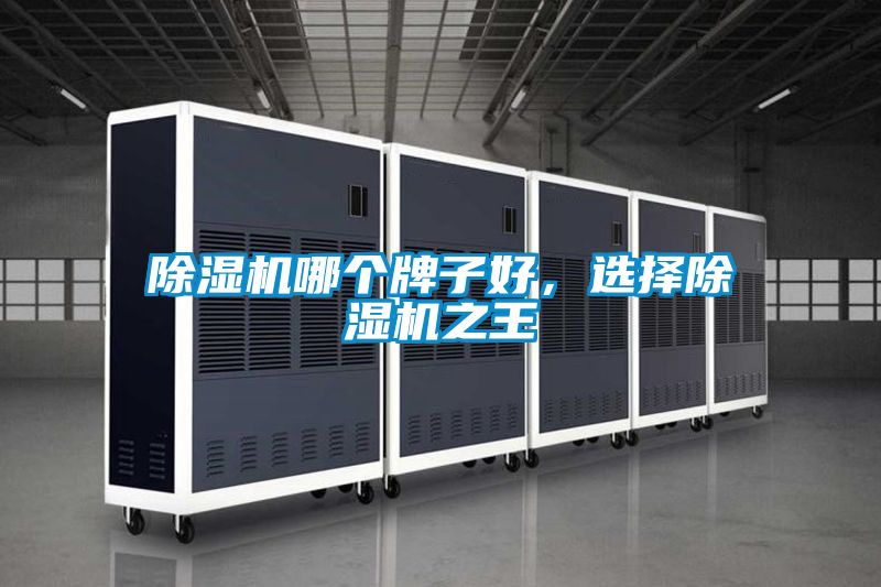 除濕機哪個牌子好，選擇除濕機之王