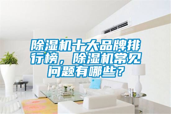 除濕機十大品牌排行榜，除濕機常見問題有哪些？