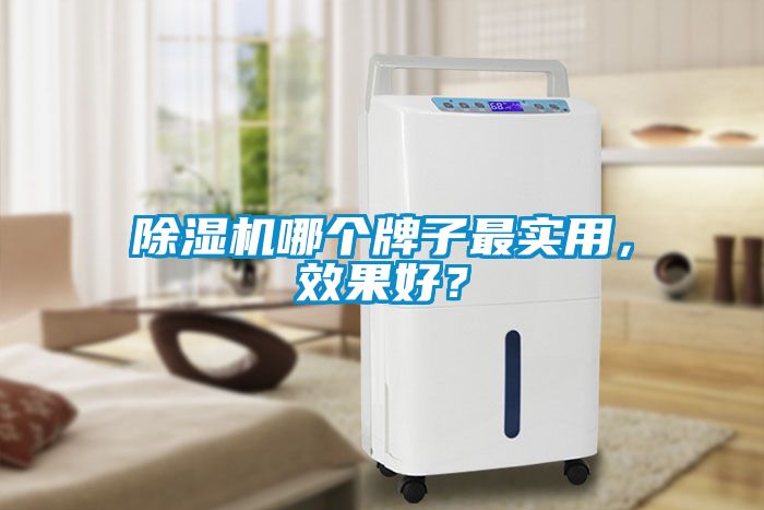 除濕機哪個牌子最實用，效果好？