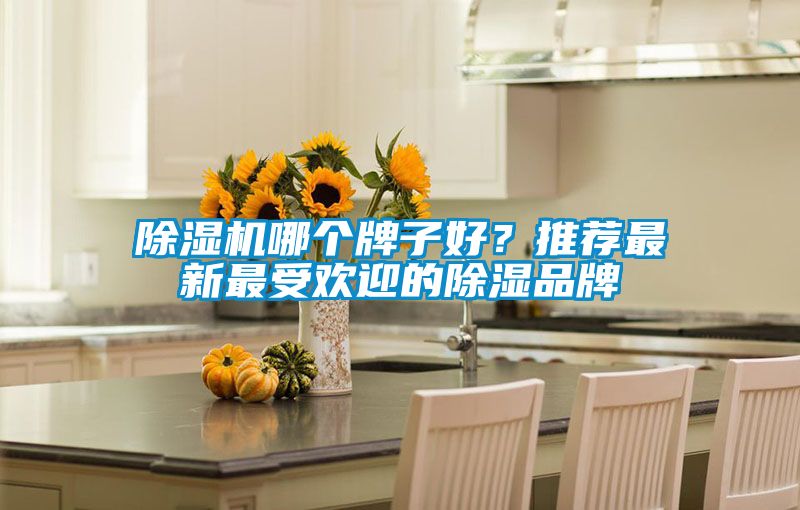 除濕機哪個牌子好？推薦最新最受歡迎的除濕品牌