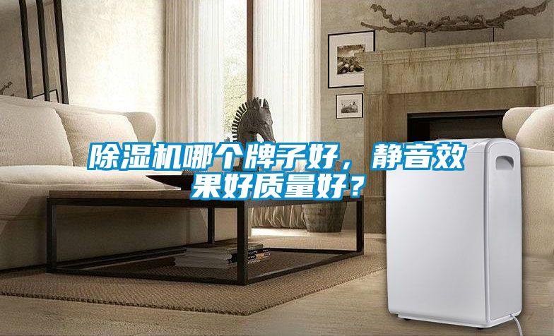 除濕機哪個牌子好，靜音效果好質量好？