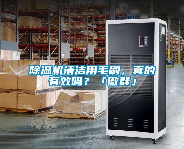 除濕機清潔用毛刷，真的有效嗎？「傲群」
