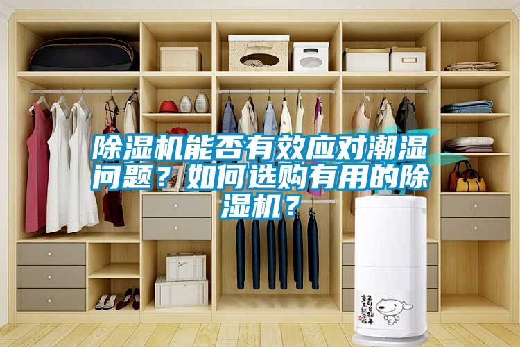 除濕機能否有效應對潮濕問題？如何選購有用的除濕機？