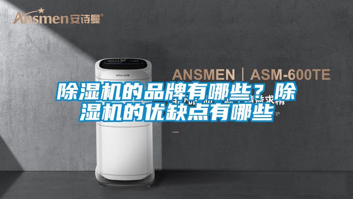除濕機的品牌有哪些？除濕機的優缺點有哪些